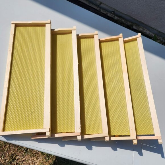 Beekeeping Equipment 5 Medium Frames + 5 Wax Foundation ASSEMBLED For Super Boxe - Picture 5 of 12